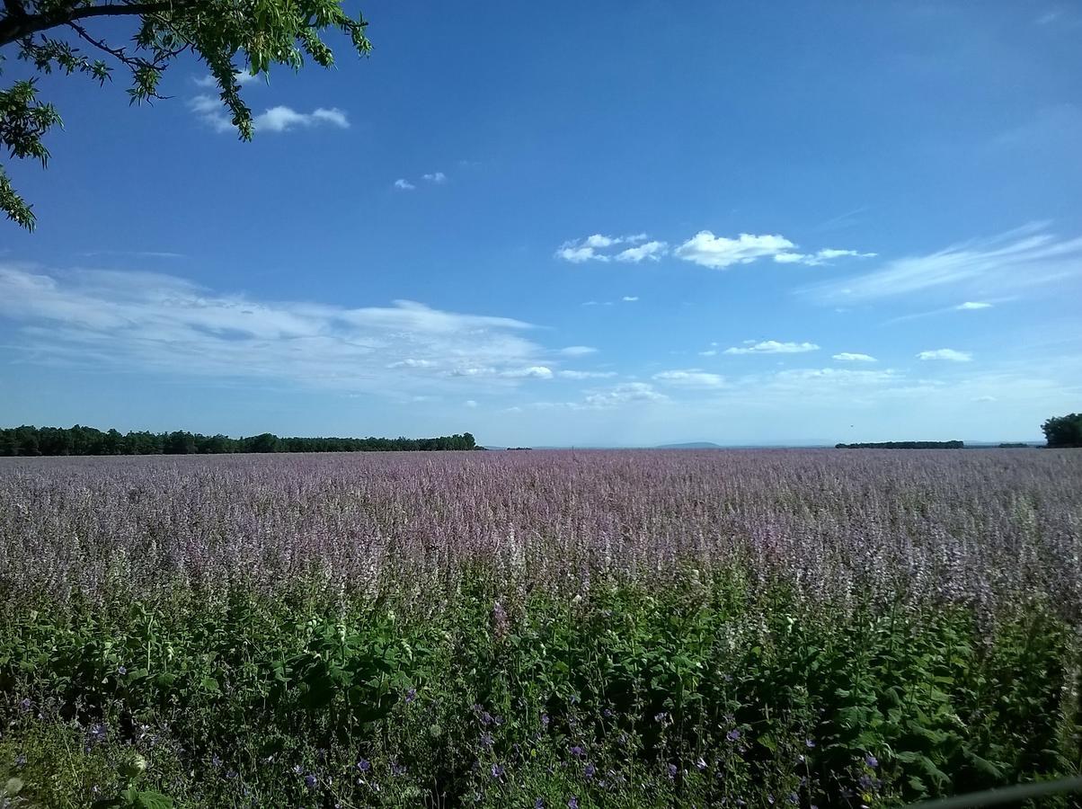 Sainte Anne 