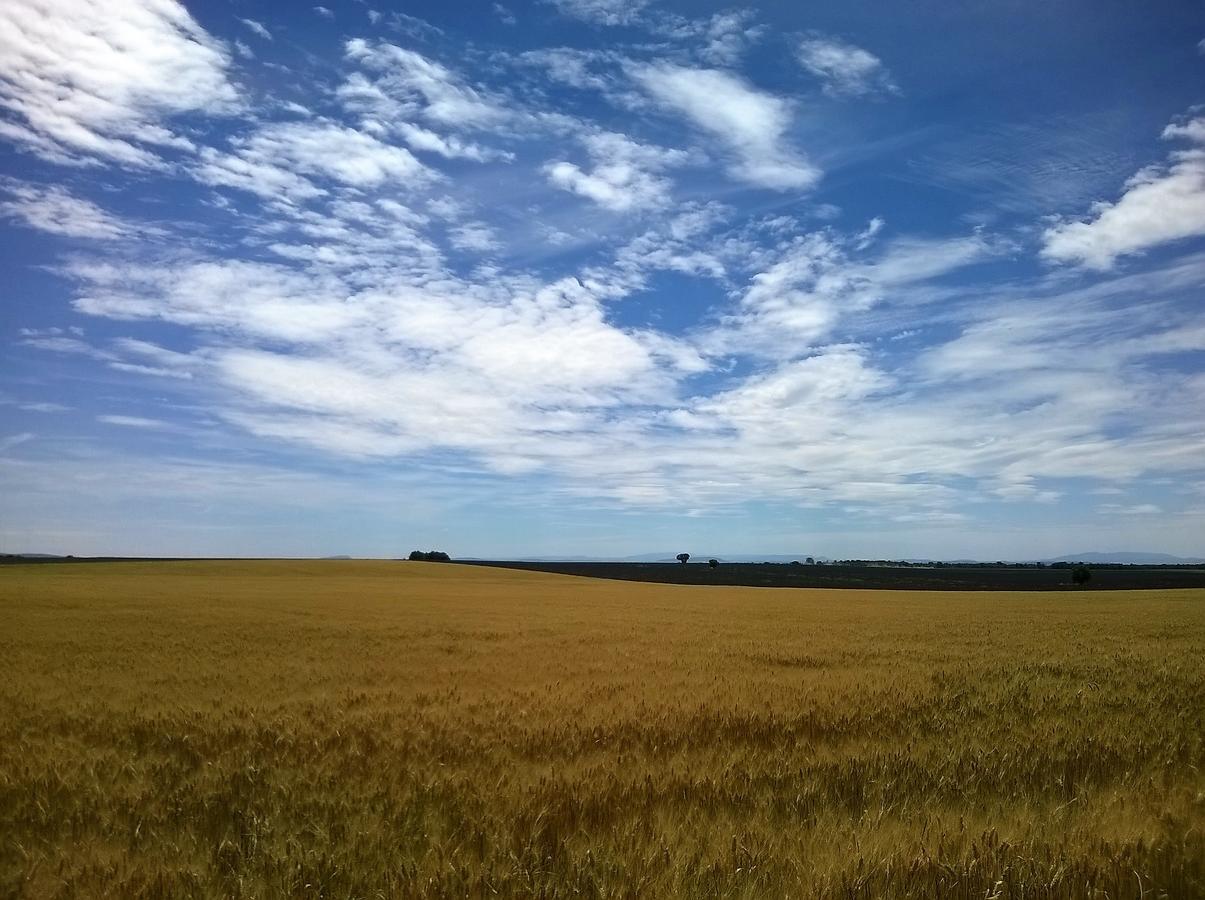Sainte Anne 